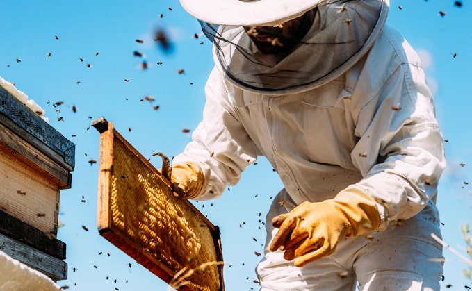 'I'm a beekeeper, famed for my honey': The unusual hobbies and claims to fame of 34 UK vendor leaders